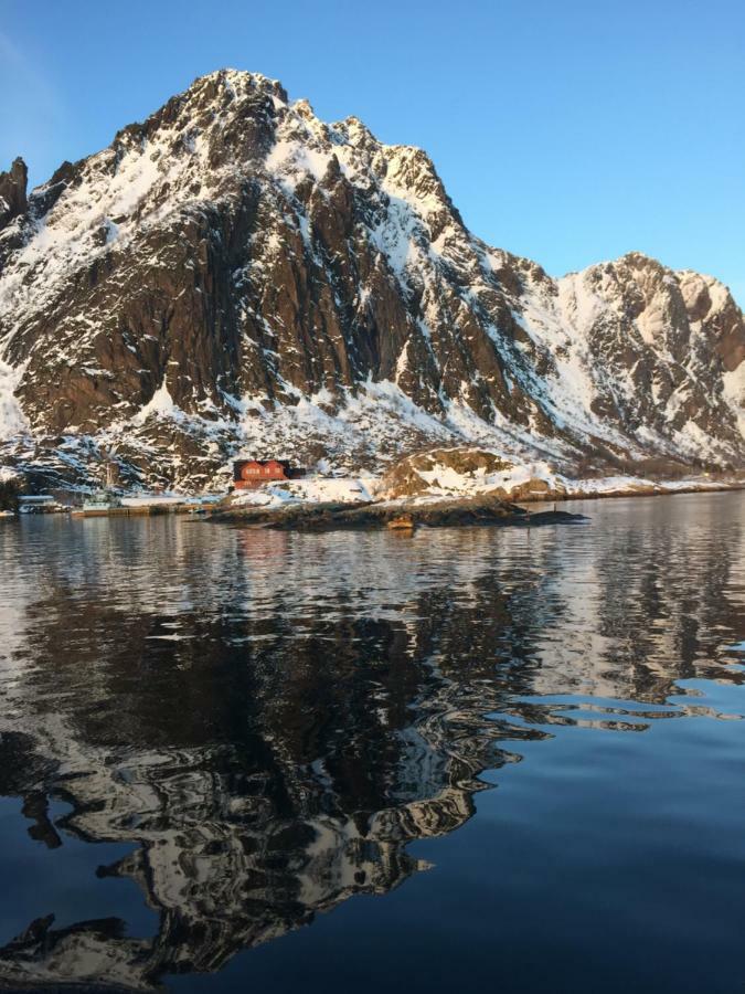 Svolvaergeita Apartments Eksteriør billede